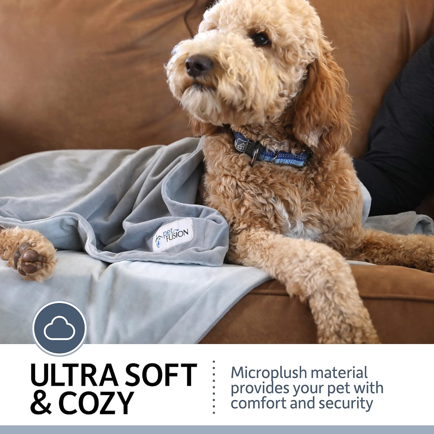 PetFusion Premium Pet Blanket, Multiple Sizes for Dogs & Cats