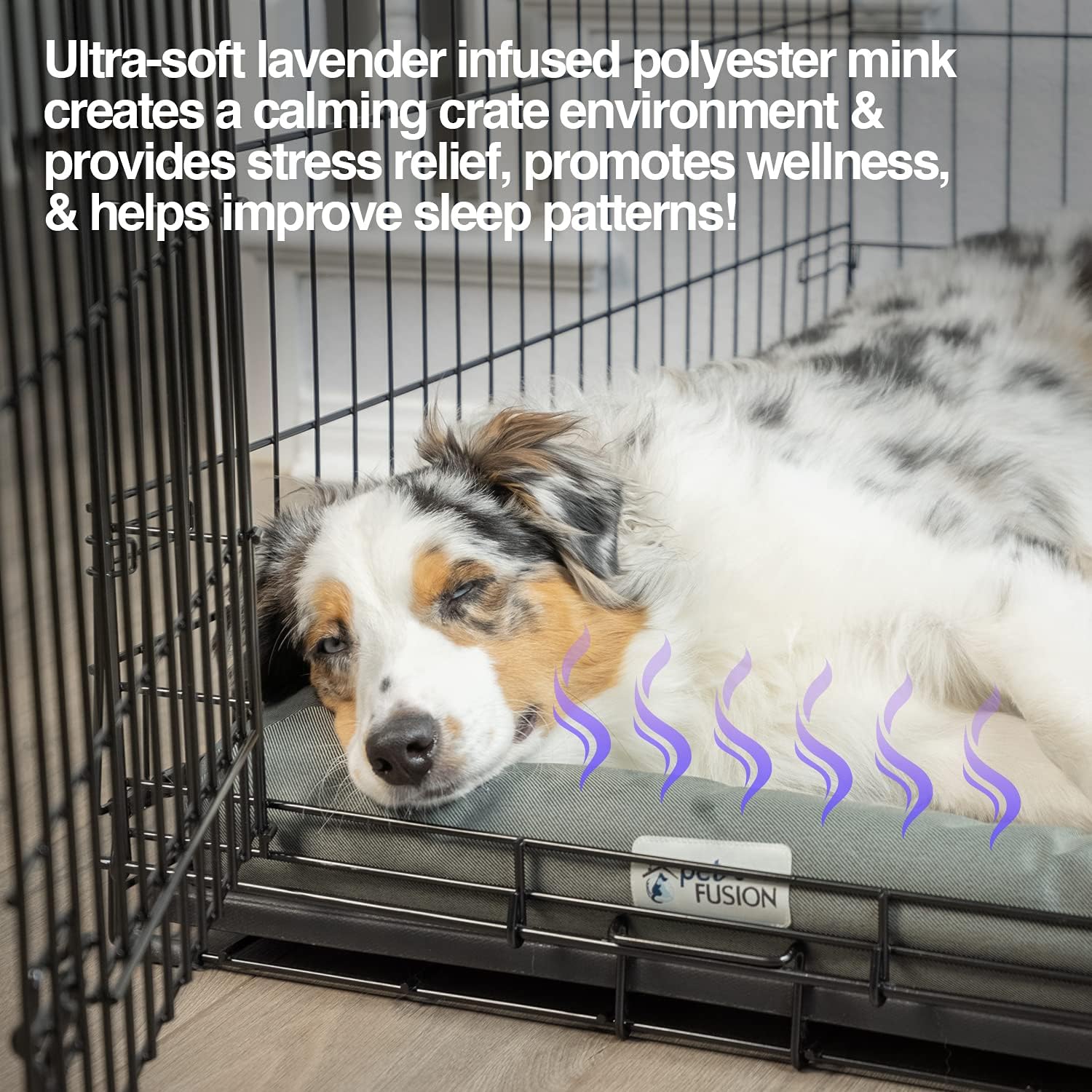PetFusion Lavender-Infused Dog Bed w/Cooling