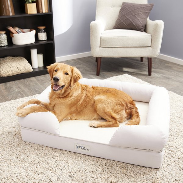PetFusion Ultimate Lounge